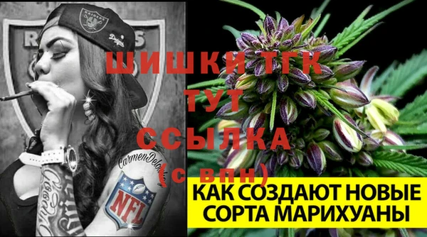первитин Арсеньев