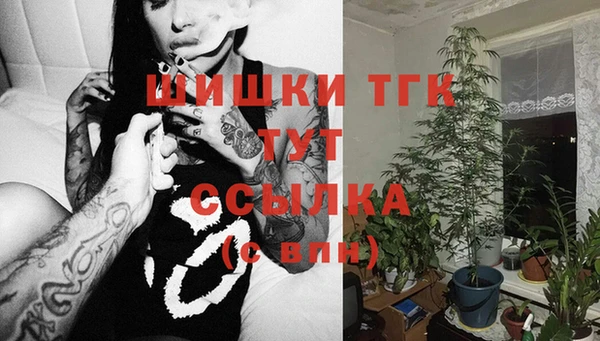 первитин Арсеньев