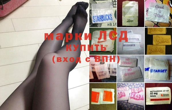 spice Аркадак